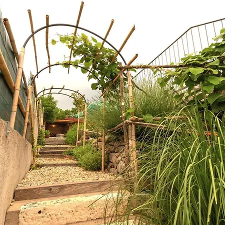 Salvia - House With Pool - Holiday home *